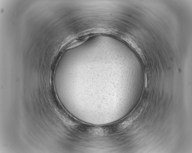 X0000086950253200705071450