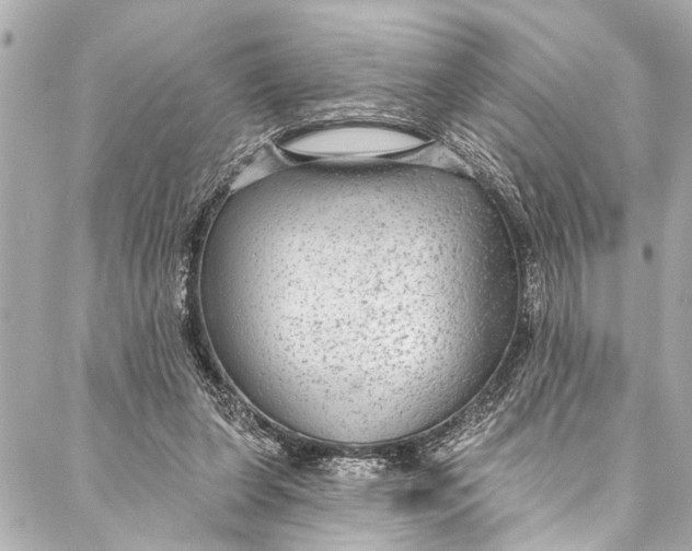 X0000086950255200705071450