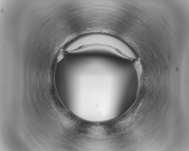 X0000086950256200705071450