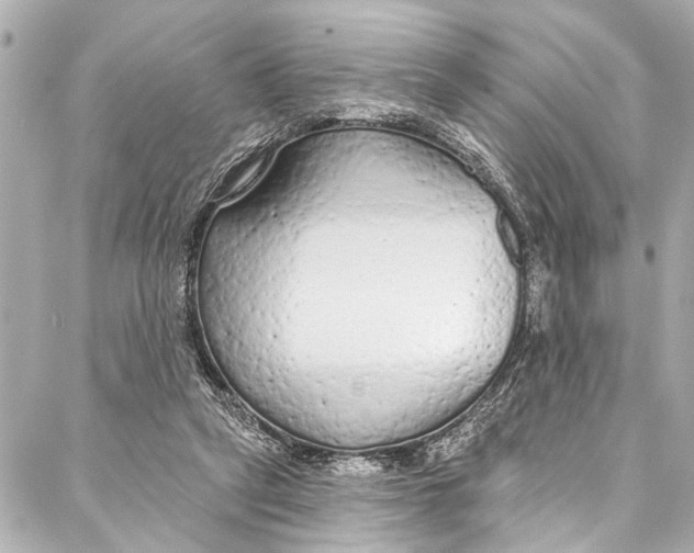 X0000086950257200705071450