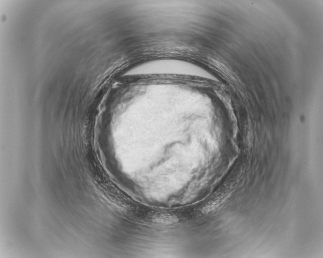 X0000086950258200705071450