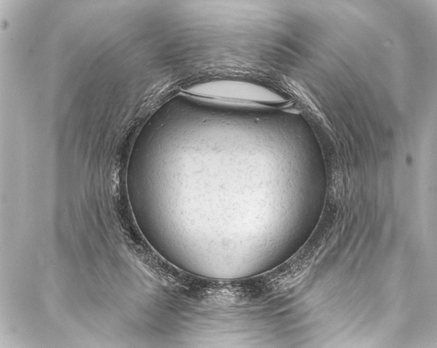 X0000086950259200705071450