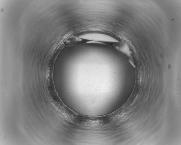 X0000086950260200705071450