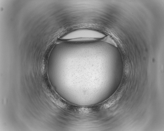 X0000086950261200705071450