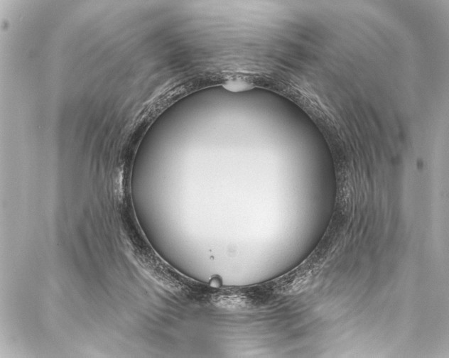 X0000086950262200705071450