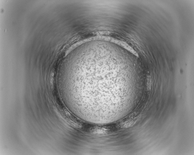 X0000086950263200705071450