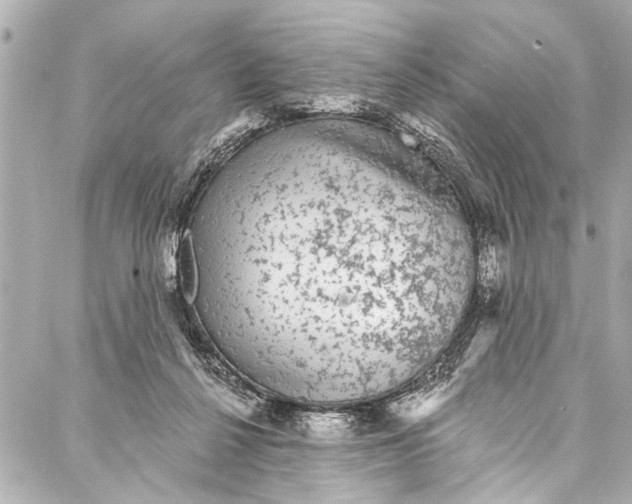 X0000086950264200705071450