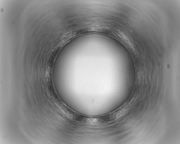 X0000086950265200705071450