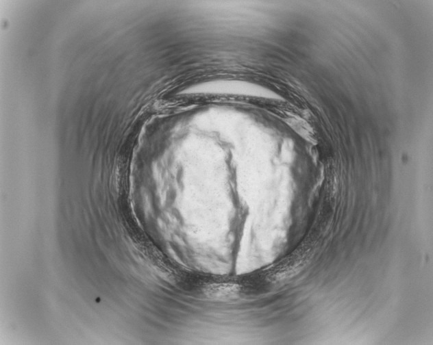 X0000086950266200705071450