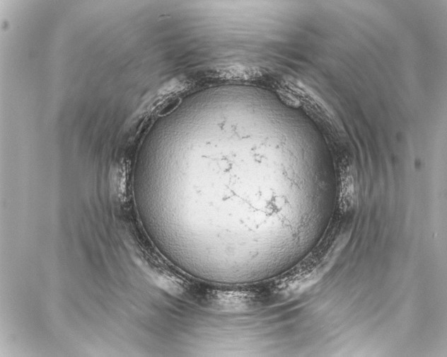 X0000086950268200705071450