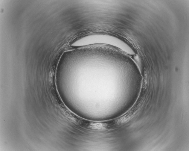 X0000086950269200705071450