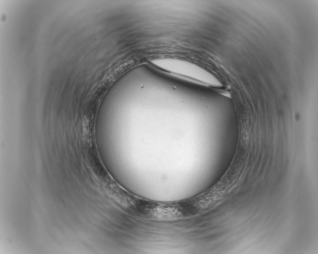 X0000086950270200705071450