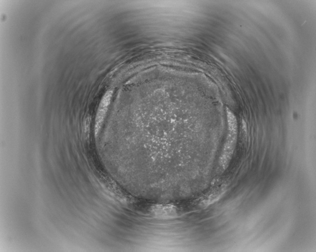 X0000086950271200705071450