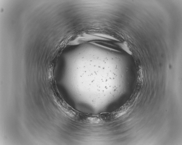 X0000086950272200705071450