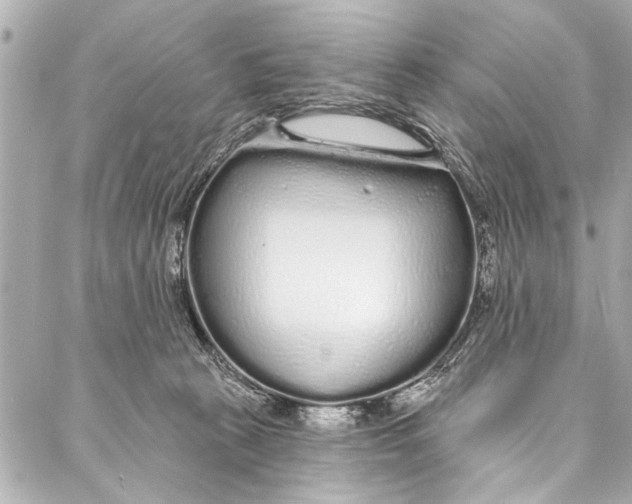 X0000086950273200705071450