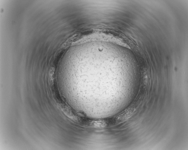 X0000086950275200705071450