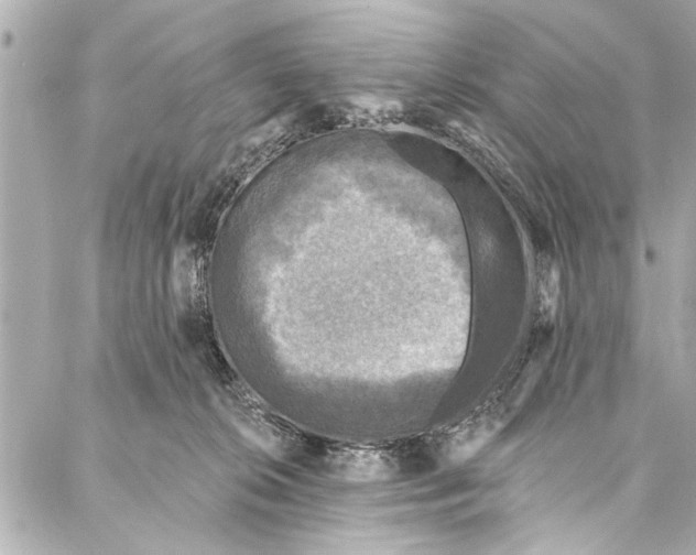 X0000086950276200705071450