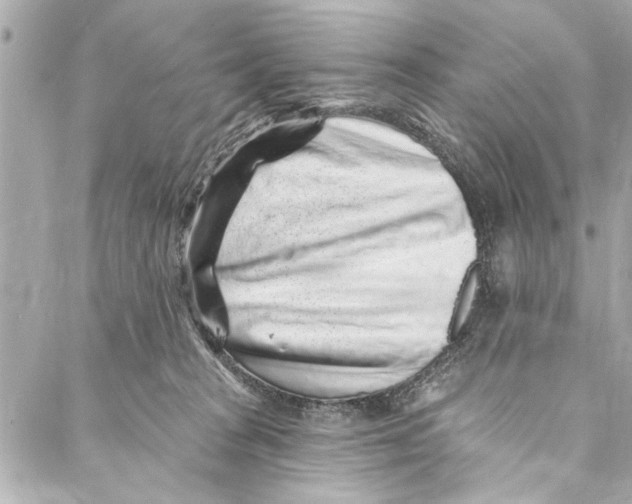 X0000086950277200705071451