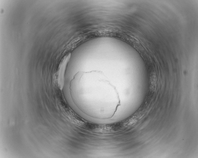 X0000086950278200705071451