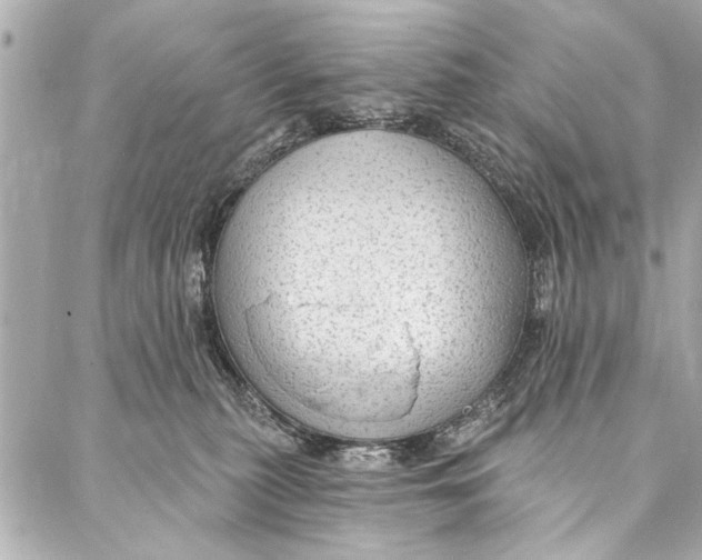 X0000086950279200705071451