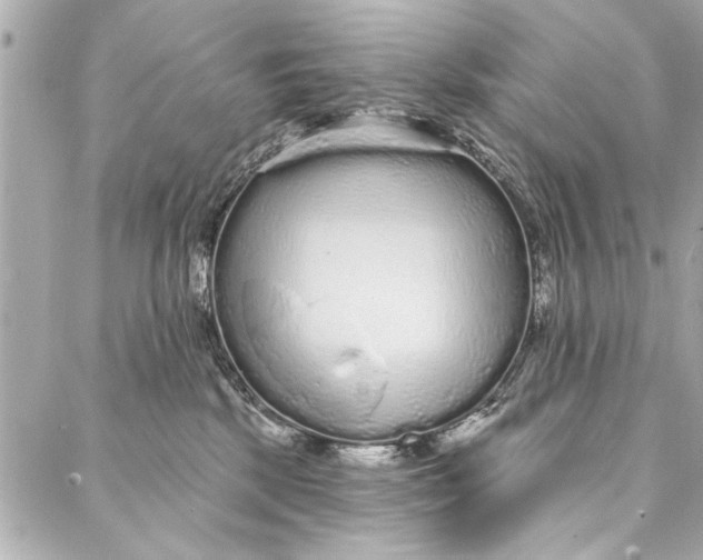 X0000086950281200705071451