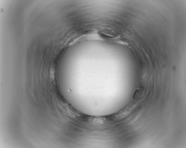 X0000086950282200705071451