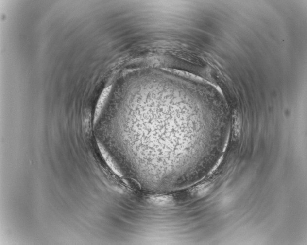 X0000086950283200705071451