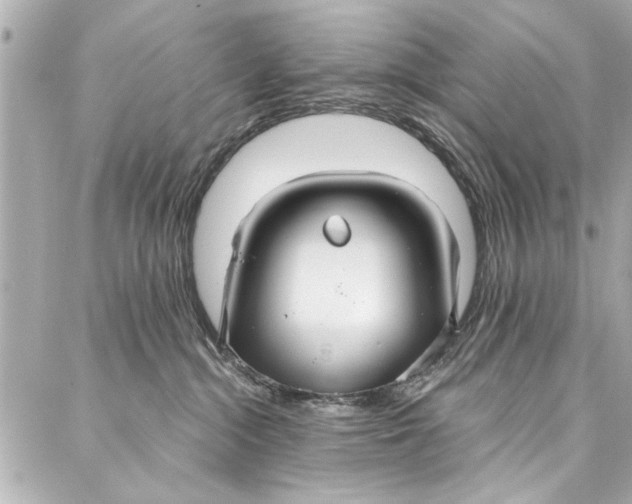 X0000086950284200705071451