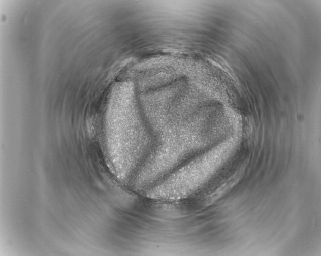 X0000086950285200705071451