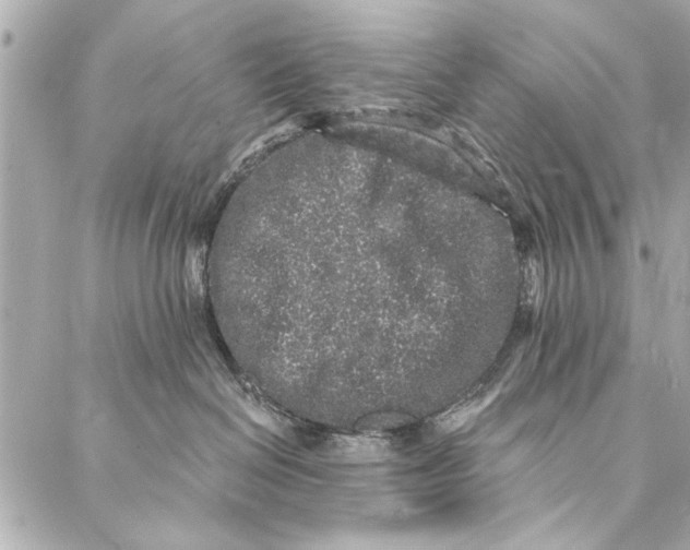 X0000086950286200705071451