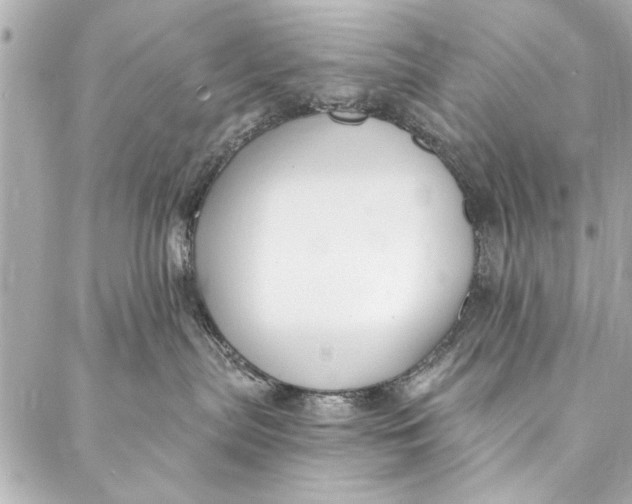 X0000086950287200705071451