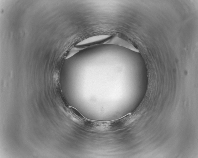 X0000086950288200705071451