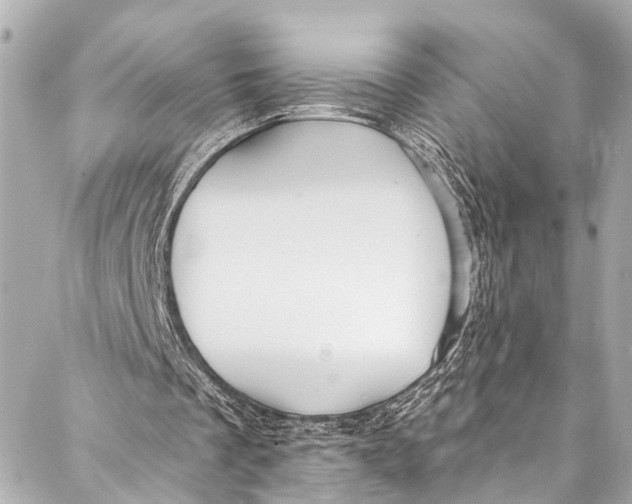 X0000086950289200705071450