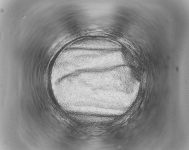 X0000086950290200705071450