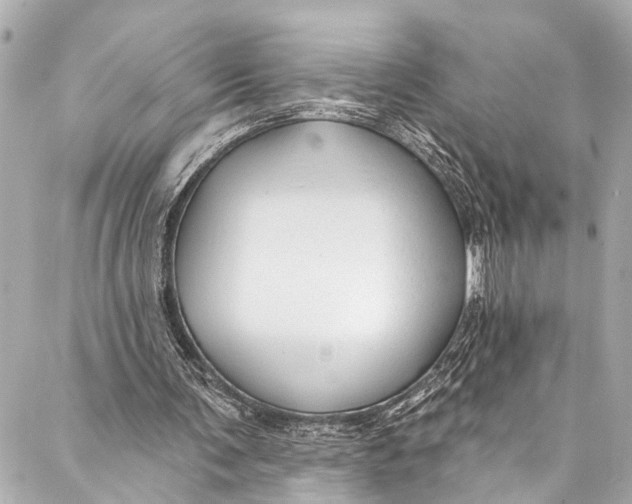 X0000086950291200705071450