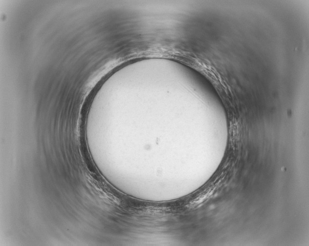 X0000086950292200705071450