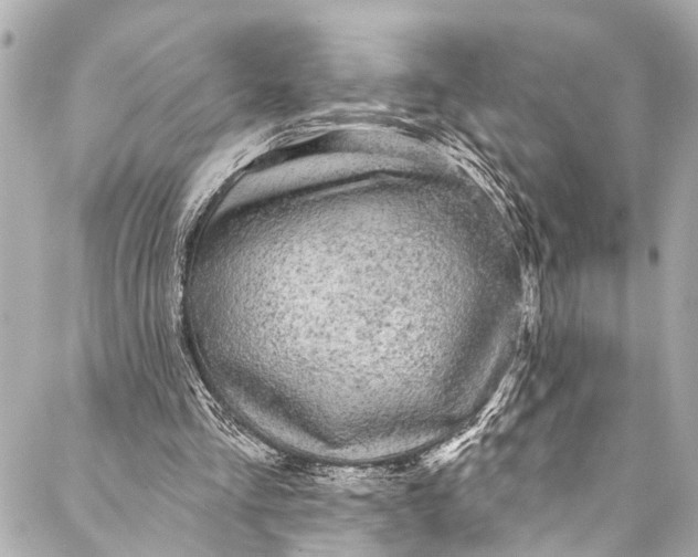 X0000086950293200705071450