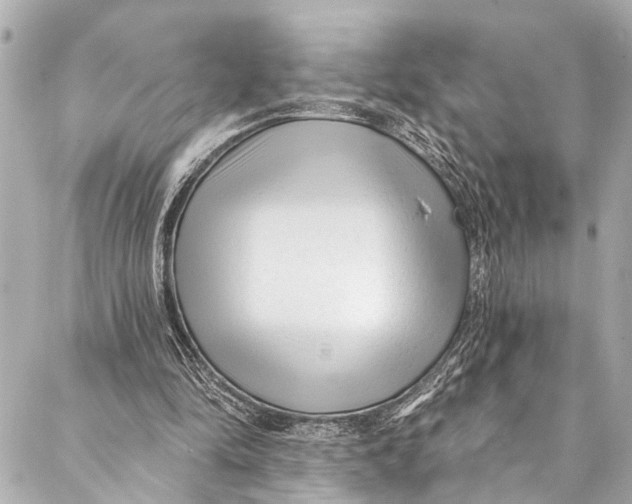 X0000086950294200705071450