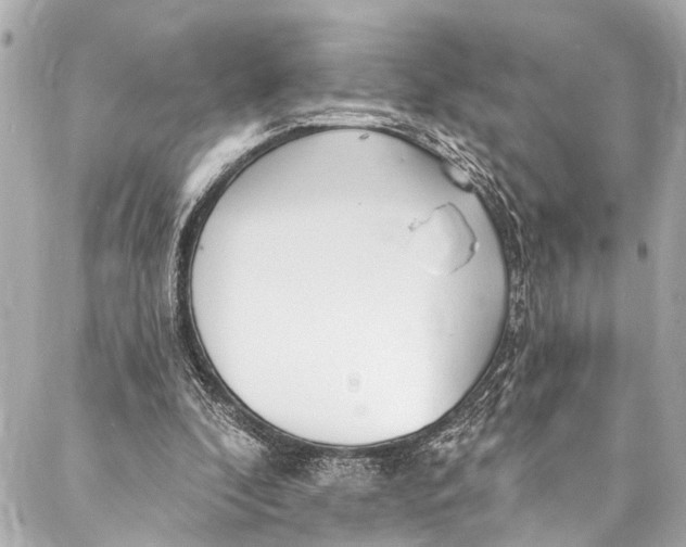 X0000086950296200705071450