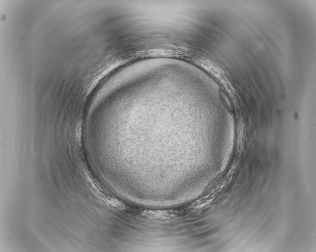 X0000086950297200705071450