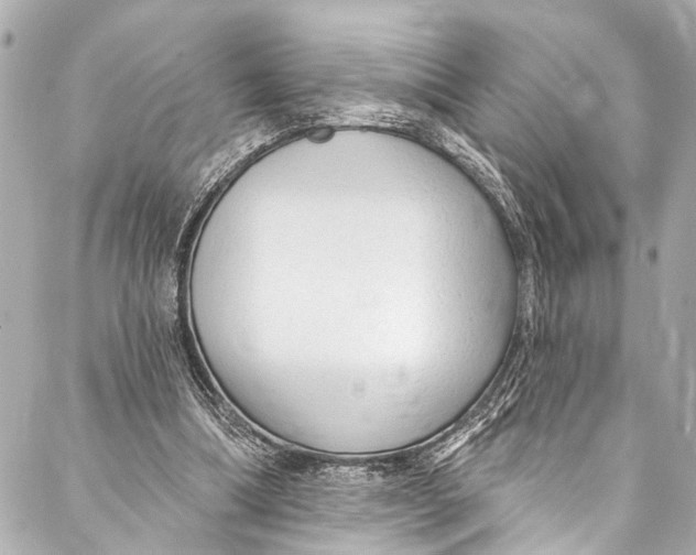 X0000086950298200705071450