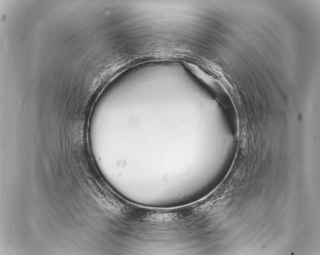 X0000086950299200705071450