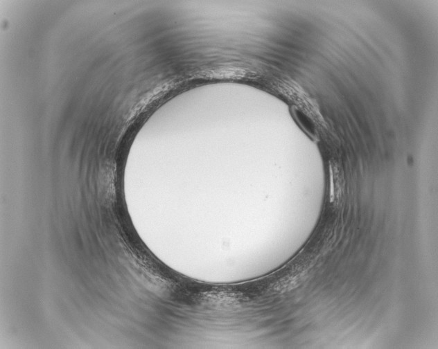 X0000086950300200705071450