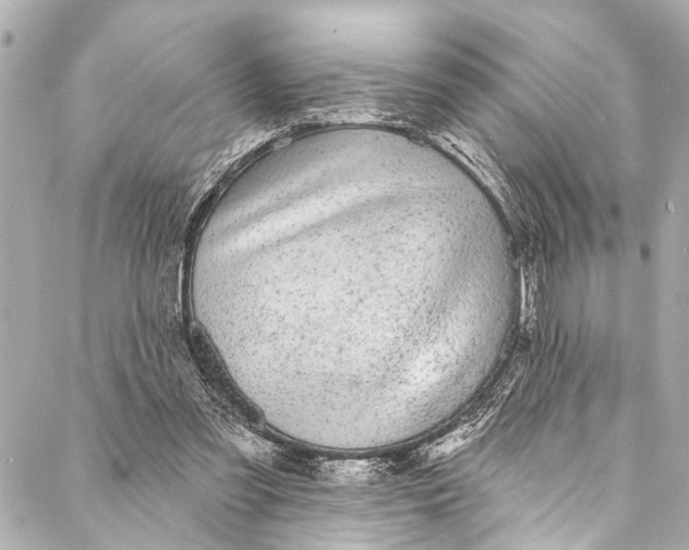 X0000086950301200705071450