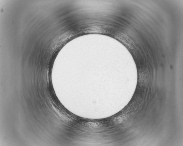 X0000086950302200705071450