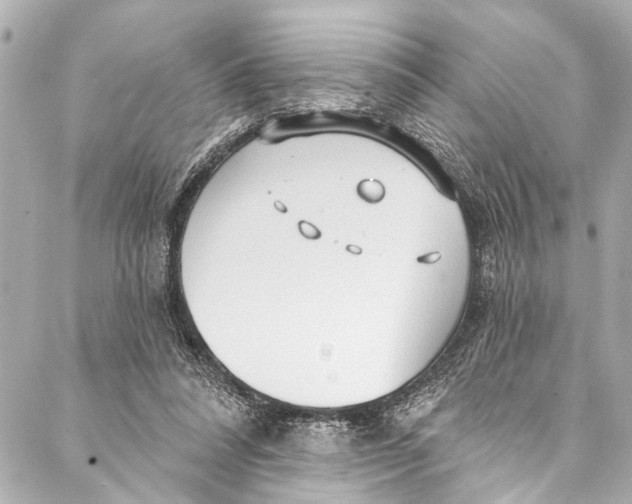 X0000086950304200705071450