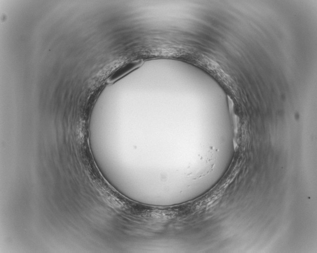 X0000086950305200705071450