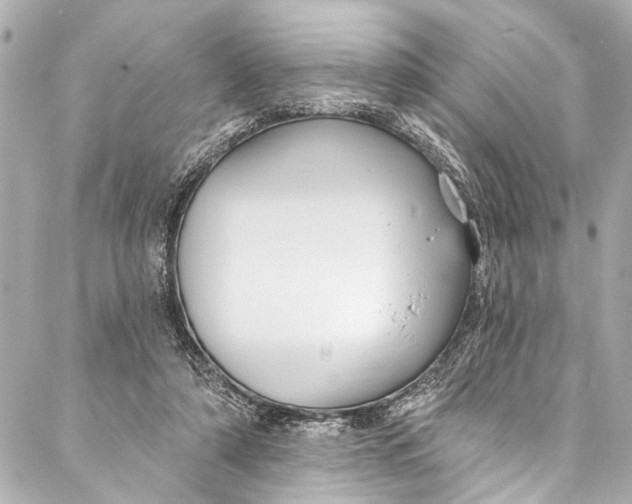 X0000086950306200705071450