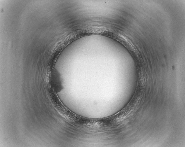 X0000086950307200705071450