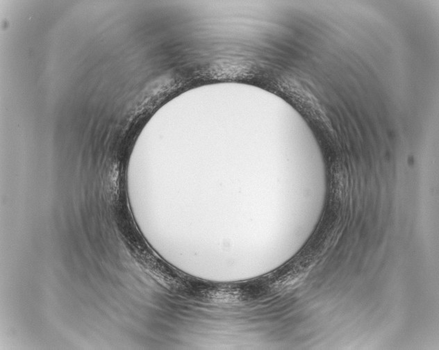 X0000086950308200705071450